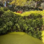 Quinta Da Porta - Solar De