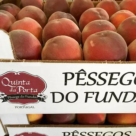 팜스테이 Quinta Da Porta - Solar De *
