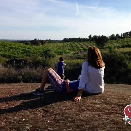 Quinta Da Porta - Solar De * Vale de Prazeres