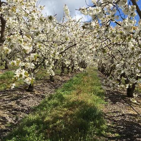 Gospodarstwo agroturystyczne Quinta Da Porta - Solar De