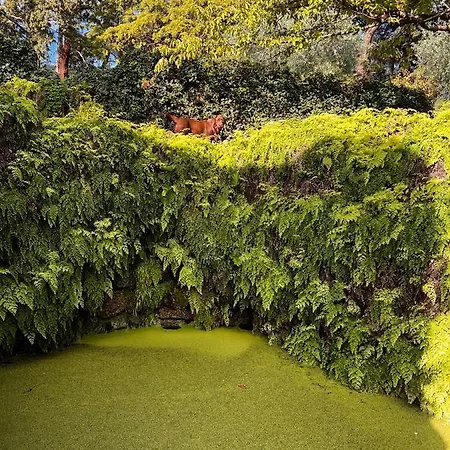 Quinta Da Porta - Solar De