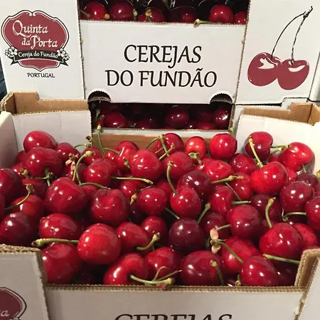 Quinta Da Porta - Solar De *