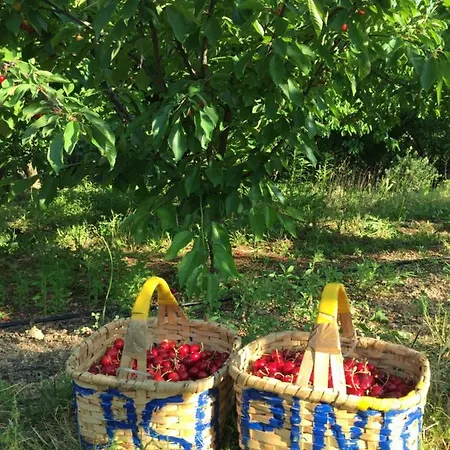 Gospodarstwo agroturystyczne Quinta Da Porta - Solar De Vale de Prazeres
