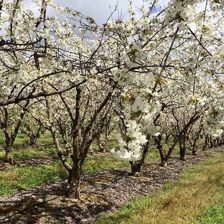 Quinta Da Porta - Solar De Lantgård