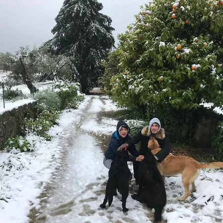 Quinta Da Porta - Solar De *