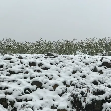 Quinta Da Porta - Solar De