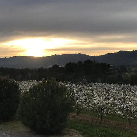 Lantgård Quinta Da Porta - Solar De Vale de Prazeres