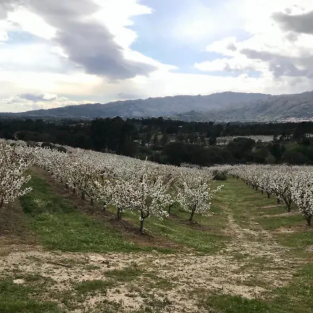Quinta Da Porta - Solar De *