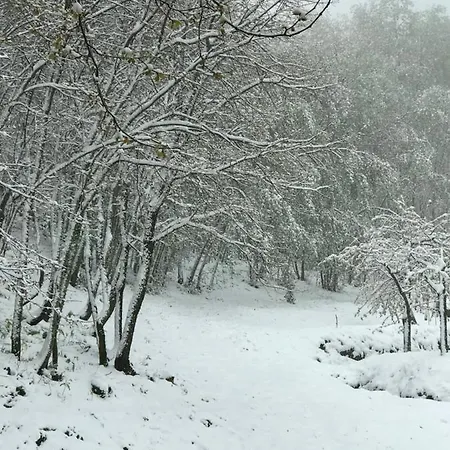 Quinta Da Porta - Solar De * Vale de Prazeres