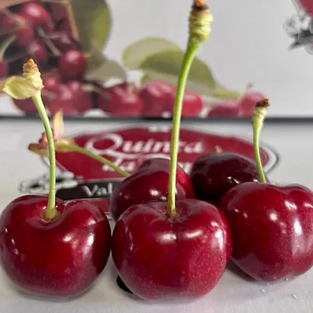 Quinta Da Porta - Solar De