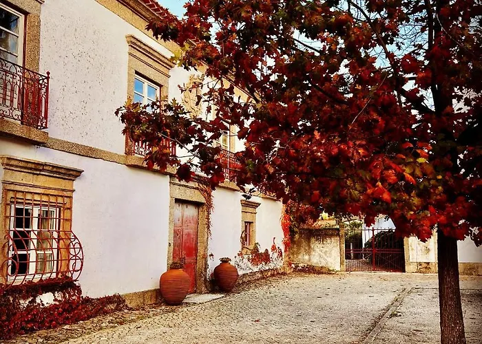 Alojamento de Turismo Rural Quinta Da Porta - Solar De Vale de Prazeres