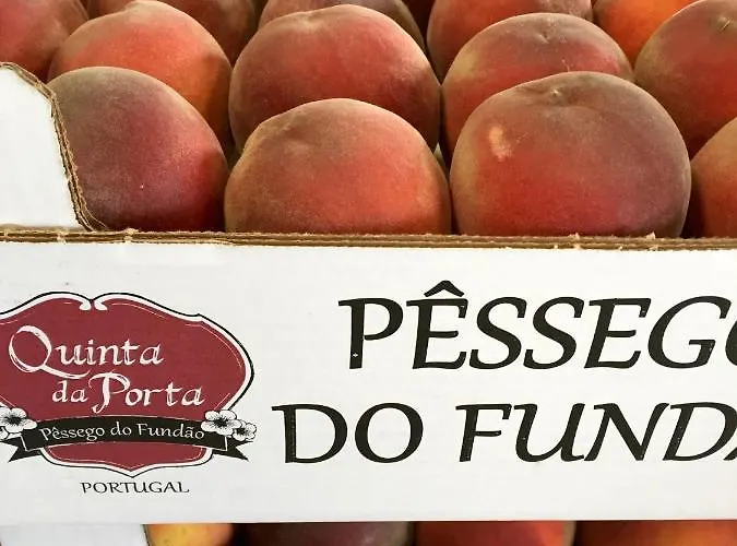 ファームステイ Quinta Da Porta - Solar De *