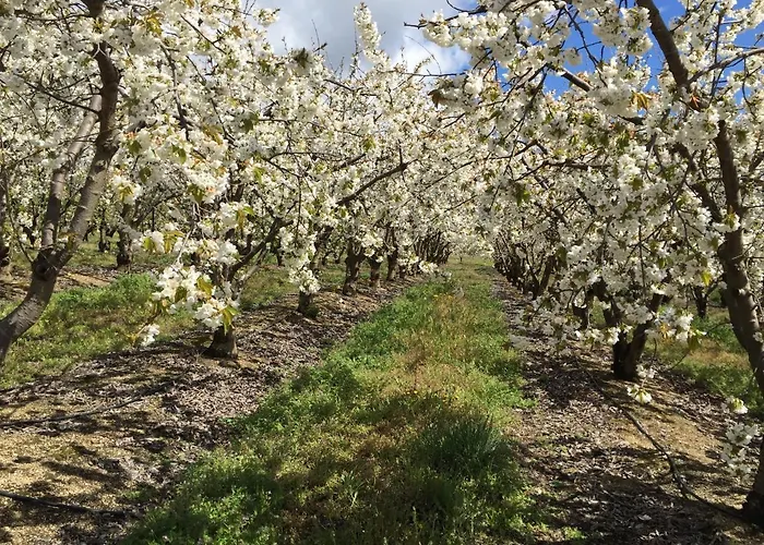 ファームステイ Quinta Da Porta - Solar De