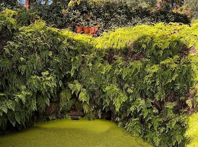 Quinta Da Porta - Solar De