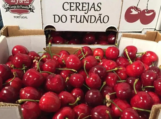 Quinta Da Porta - Solar De *