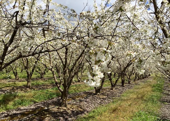 Quinta Da Porta - Solar De ファームステイ
