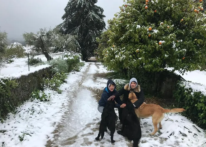 Quinta Da Porta - Solar De *