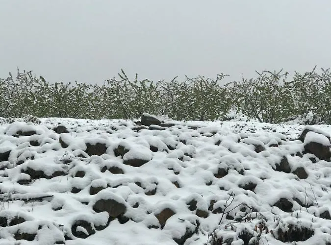 Quinta Da Porta - Solar De