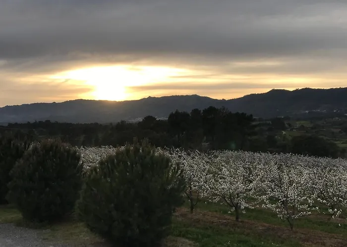 ファームステイ Quinta Da Porta - Solar De Vale de Prazeres