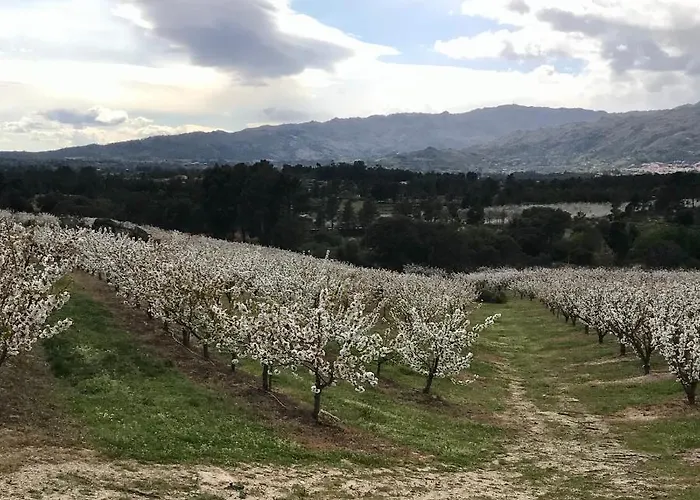 Quinta Da Porta - Solar De *