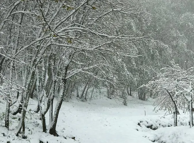 Quinta Da Porta - Solar De * Vale de Prazeres