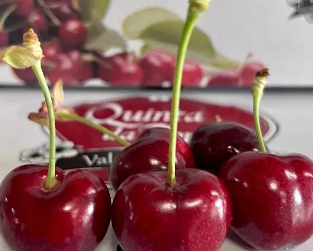 Quinta Da Porta - Solar De