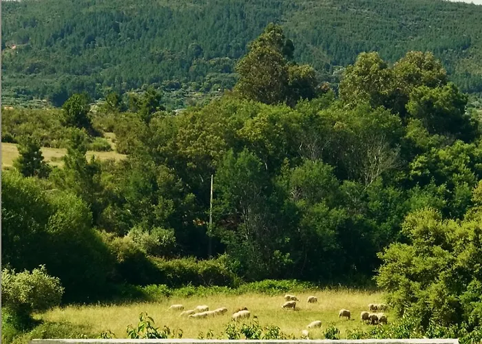 Quinta Da Porta - Solar De Vale de Prazeres